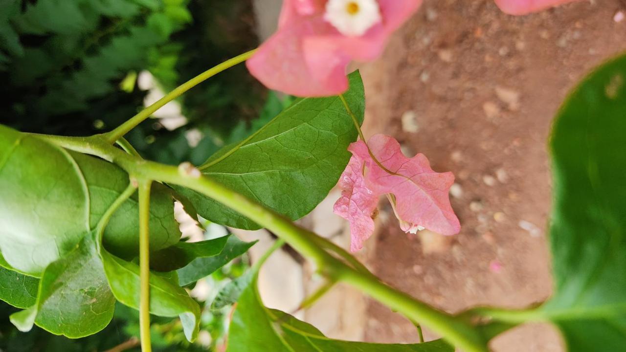 Kanthi Resorts Badami Bagalkot Ngoại thất bức ảnh