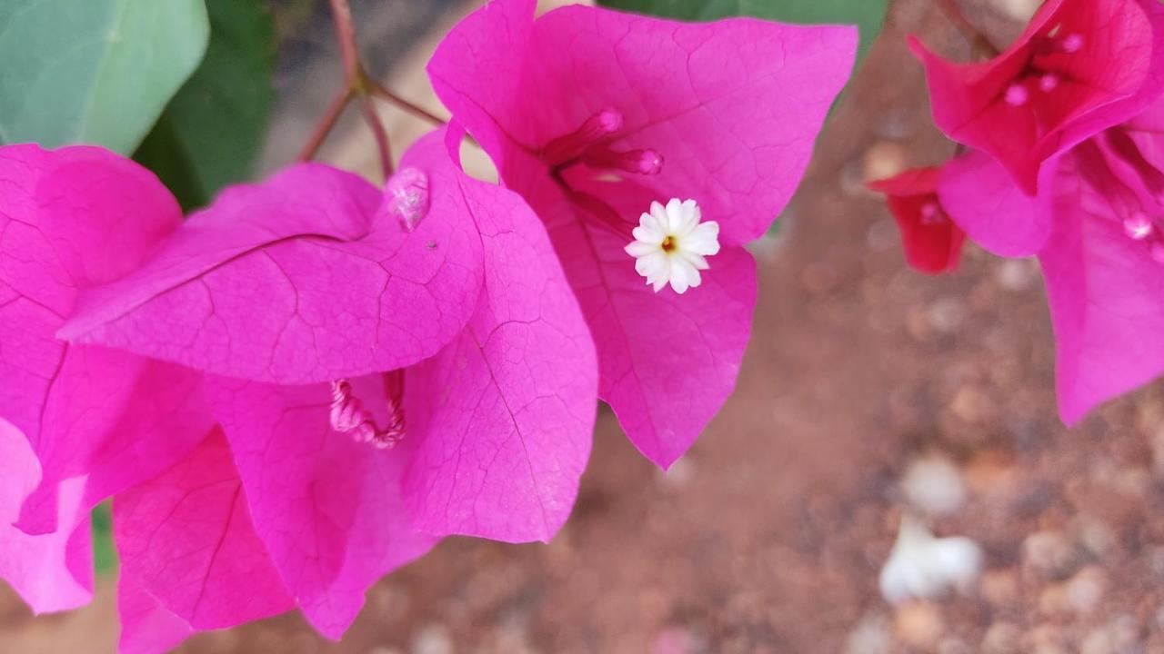 Kanthi Resorts Badami Bagalkot Ngoại thất bức ảnh
